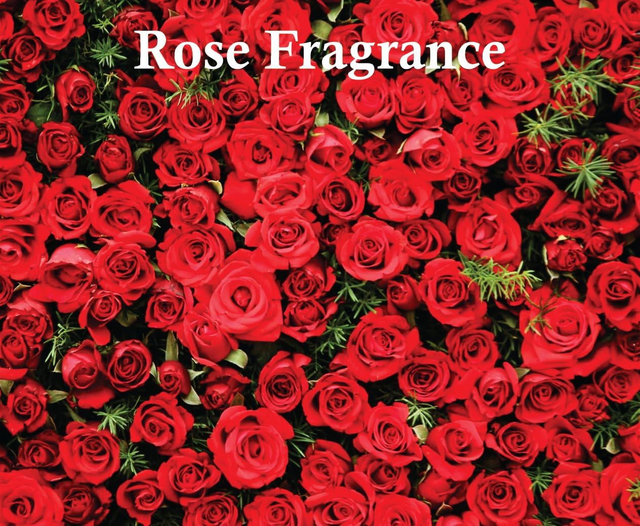 Yara Parfum | Yara Perfume for Women 50ml | Rose, Tangerine and Orange Arabian Fragrance| Yara Women Perfume Made in Dubai by Sapphire’s choice